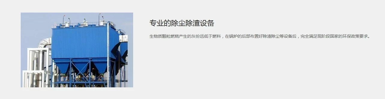 DZH型手烧生物质锅炉产品介绍2.JPG