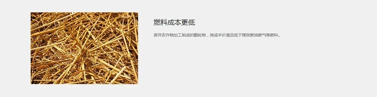 DZH型手烧生物质锅炉产品介绍4.JPG